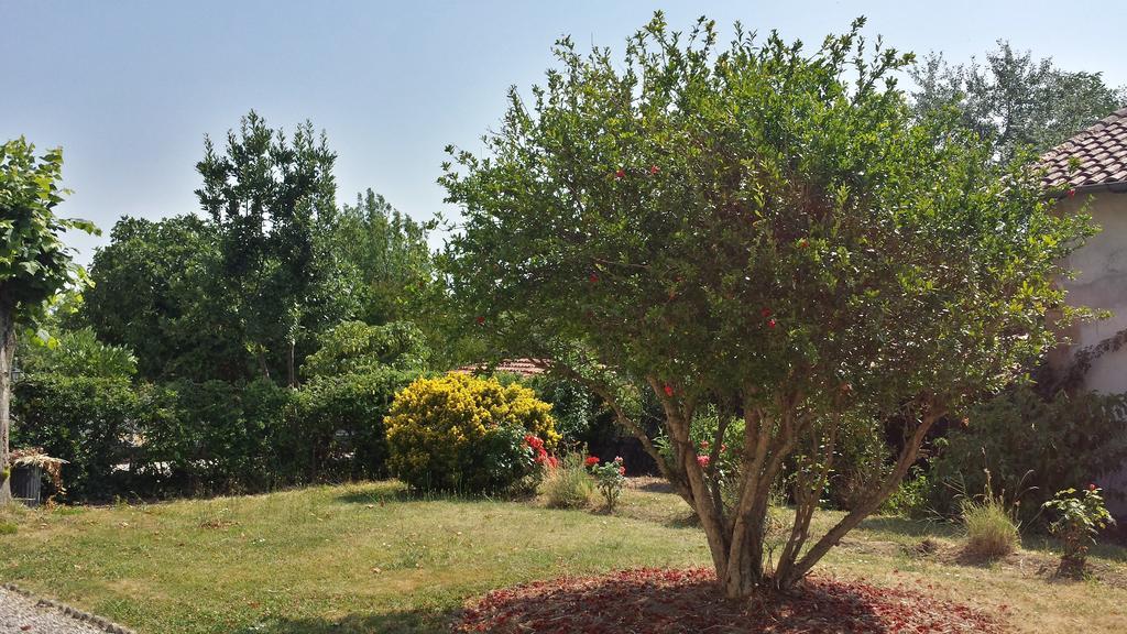 Les Tilleuls Bed & Breakfast Saint-Pe-Delbosc Bagian luar foto